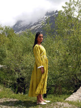 Basant Maxi Dress
